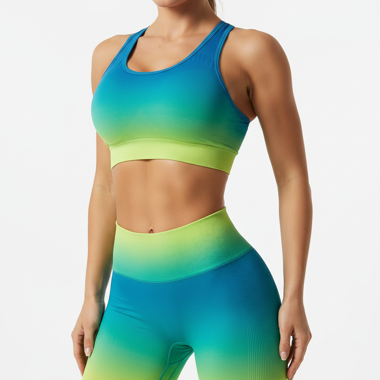 Gradient High Stretch Sports Bra